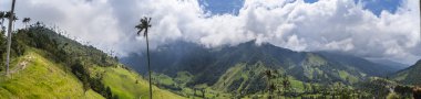 Quindio, Kolombiya 'daki Cocora Valley' in güzel manzarası, HDR Görüntü