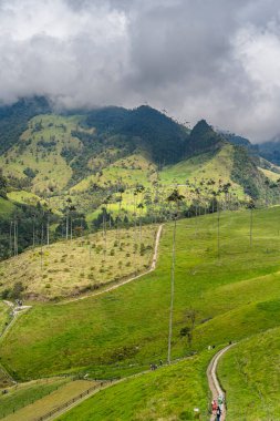 Quindio, Kolombiya 'daki Cocora Valley' in güzel manzarası, HDR Görüntü