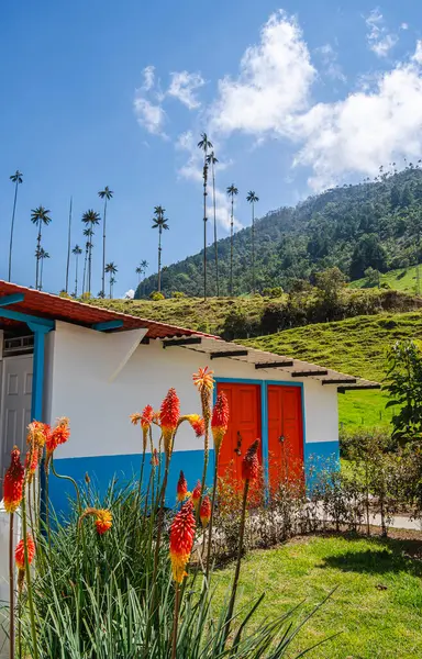 stock image Beautiful view of Cocora Valley in Quindio, Colombia, HDR Image