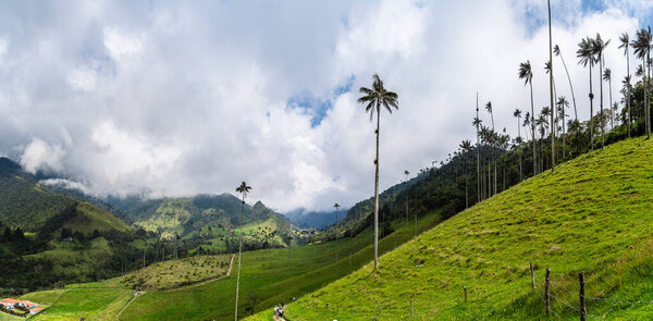 Beautiful view of Cocora Valley in Quindio, Colombia, HDR Image