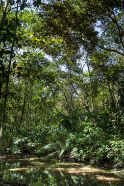 Panama Şehri, Panama - 4 Şubat 2024: Güneşli havada tarihi şehir merkezi, HDR Görüntü