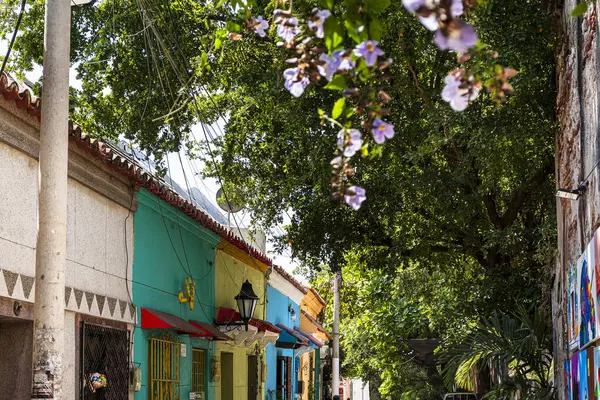 stock image Cartagena, Colombia - February 4, 2024 : Historical city center in sunny weather, HDR Image