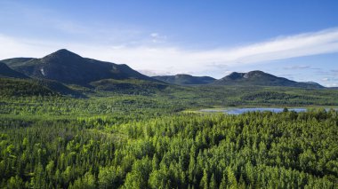 Kanada Quebec 'teki Grands-Jardins Ulusal Parkı' nın insansız hava aracı görüntüsü.