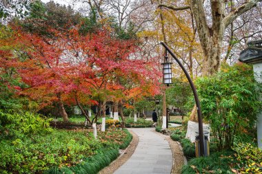 Hangzhou, Çin - 3 Aralık 2023: Bulutlu havada tarihi merkez şehir, HDR Görüntü