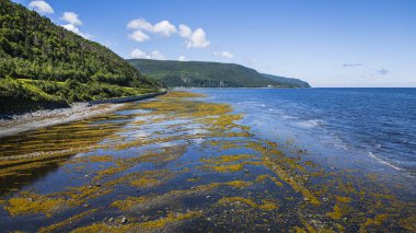 Gaspe Yarımadası kıyısındaki Saint Lawrence Nehri, HDR Görüntü