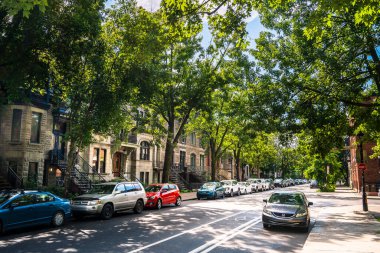 Montreal, Quebec, Kanada - 2 Temmuz 2024: Yazın Mont Kraliyet Bölgesi