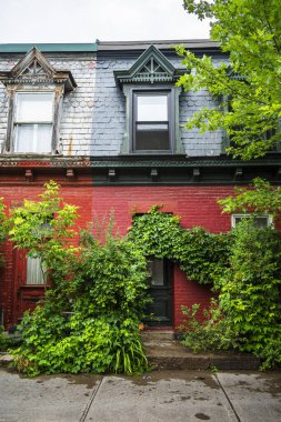 Montreal, Quebec, Kanada - 2 Temmuz 2024: Yazın Mont Kraliyet Bölgesi