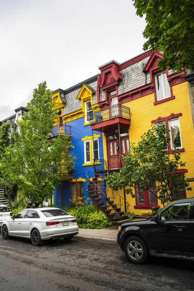 Montreal, Quebec, Kanada - 2 Temmuz 2024: Yazın Mont Kraliyet Bölgesi