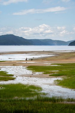 Saguenay Fjord 'un Quebec, Kanada' daki güzel manzaraları