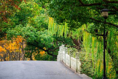 Çin 'in Sonbaharda Hangzhou Simgelerinin Manzarası