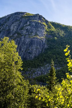 Grands Jardins National Park, Quebec, Canada clipart