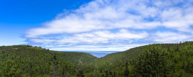 Kanada, Quebec 'teki Gaspe Yarımadası kıyısındaki Saint Lawrence Nehri' nin insansız hava aracı görüntüsü.