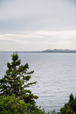Quebec, Kanada 'daki Forillon Ulusal Parkı Manzarası