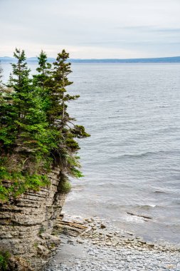 Quebec, Kanada 'daki Forillon Ulusal Parkı Manzarası