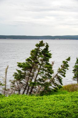 View of Forillon National Park Landscape in Quebec, Canada clipart