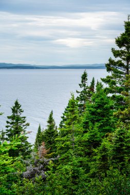 Quebec, Kanada 'daki Forillon Ulusal Parkı Manzarası