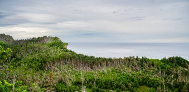 Quebec, Kanada 'daki Forillon Ulusal Parkı Manzarası