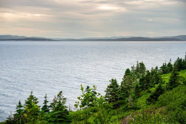 Quebec, Kanada 'daki Forillon Ulusal Parkı Manzarası