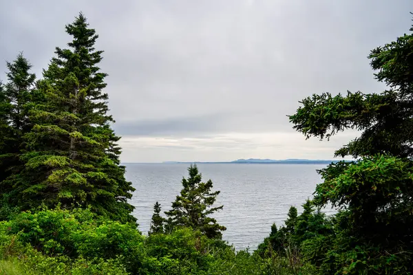 stock image View of Forillon National Park Landscape in Quebec, Canada