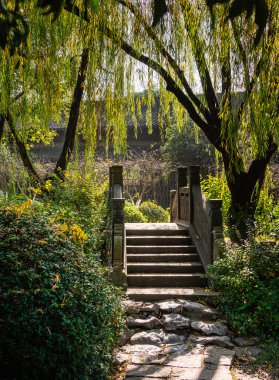 Wuzhen, Çin - 3 Aralık 2023: Kışın tarihi şehir merkezi, HDR Image