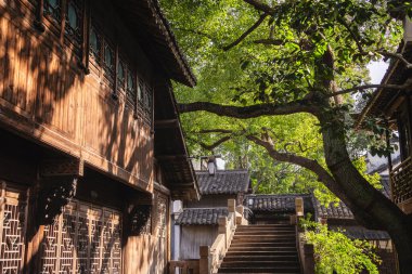 Wuzhen, Çin - 3 Aralık 2023: Sonbaharda tarihi kent merkezi, HDR Image
