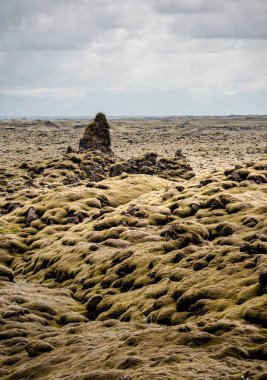 Güney İzlanda 'daki Eldhraun Manzaraları, HDR Görüntü