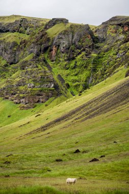 Eyjafjallajokull yakınlarındaki İzlanda Güney Sahili manzarası, HDR Görüntü