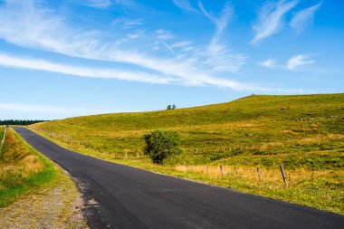 Yazın Aubrac manzarası, Aveyron, Fransa