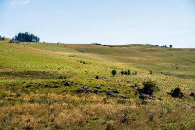 Yazın Aubrac manzarası, Aveyron, Fransa