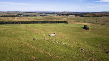 Yazın Aubrac manzarası, Aveyron, Fransa