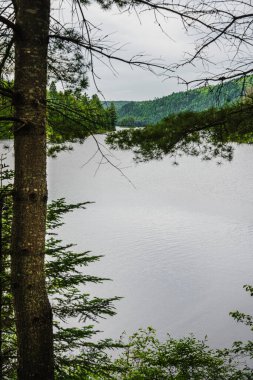 Quebec, Kanada 'daki Mauricie Ulusal Parkı' nın manzarası