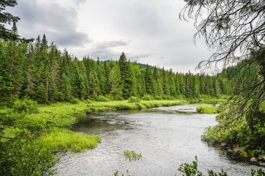 Scenic view of Mauricie National Park in Quebec, Canada clipart