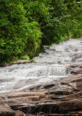 Quebec, Kanada 'daki Mauricie Ulusal Parkı' nın manzarası