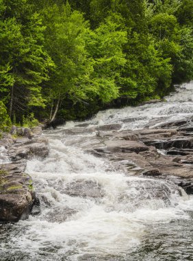 Quebec, Kanada 'daki Mauricie Ulusal Parkı' nın manzarası