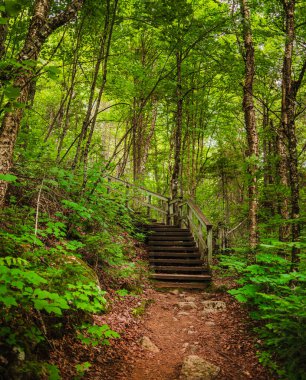 Quebec, Kanada 'daki Mauricie Ulusal Parkı' nın manzarası