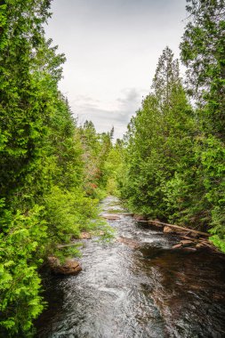 Quebec, Kanada 'daki Mauricie Ulusal Parkı' nın manzarası