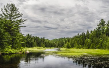 Quebec, Kanada 'daki Mauricie Ulusal Parkı' nın manzarası