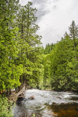 Quebec, Kanada 'daki Mauricie Ulusal Parkı' nın manzarası