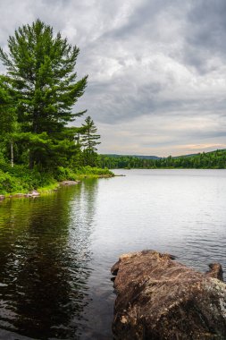 Quebec, Kanada 'daki Mauricie Ulusal Parkı' nın manzarası