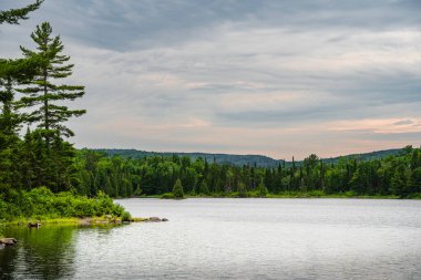 Quebec, Kanada 'daki Mauricie Ulusal Parkı' nın manzarası