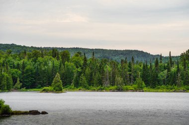 Quebec, Kanada 'daki Mauricie Ulusal Parkı' nın manzarası