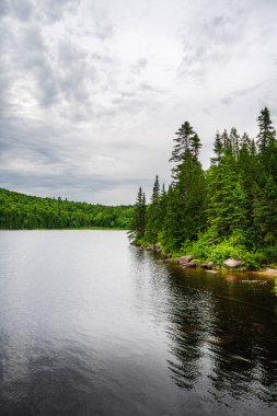 Quebec, Kanada 'daki Mauricie Ulusal Parkı' nın manzarası