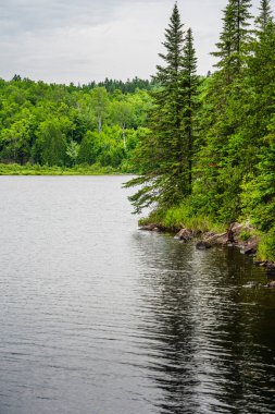 Quebec, Kanada 'daki Mauricie Ulusal Parkı' nın manzarası