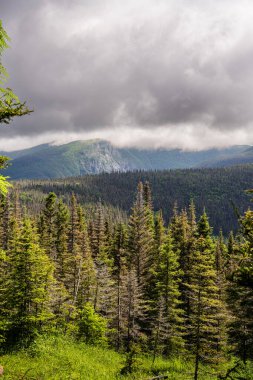Gaspe Yarımadası, Quebec, Kanada 'daki dağların manzarası