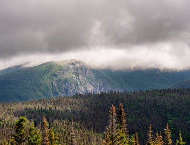 Gaspe Yarımadası, Quebec, Kanada 'daki dağların manzarası