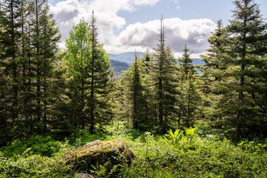Gaspe Yarımadası, Quebec, Kanada 'daki dağların manzarası