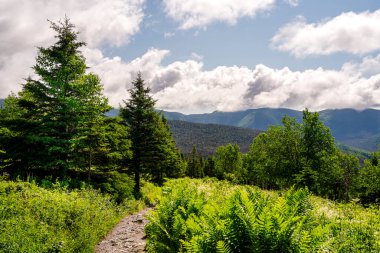 Scenic view of mountains landscape in Gaspe Peninsula, Quebec, Canada clipart