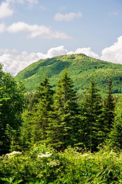 Gaspe Yarımadası, Quebec, Kanada 'daki dağların manzarası