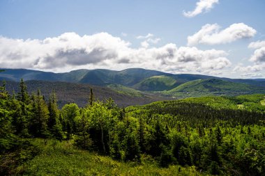 Gaspe Yarımadası, Quebec, Kanada 'daki dağların manzarası