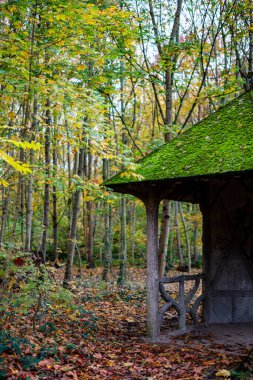 Bois de Vincennes, Fransa 'nın Paris kentinde Sonbahar Renkleri ile Picturesque Park